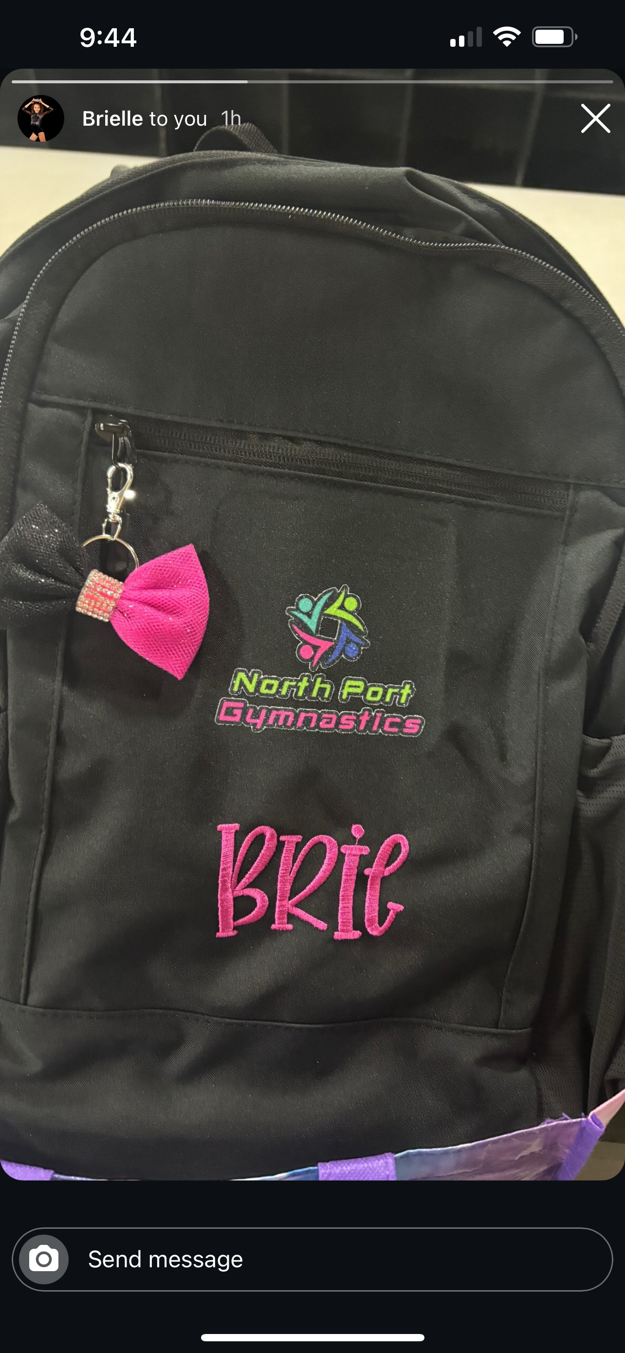 North port Mini Bag Tag